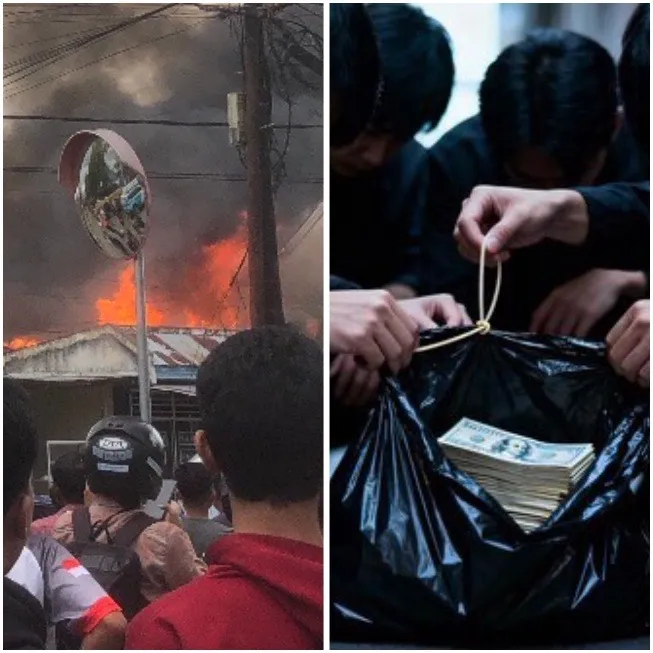 IMG 2206 Compressed 2025 12 17 124658